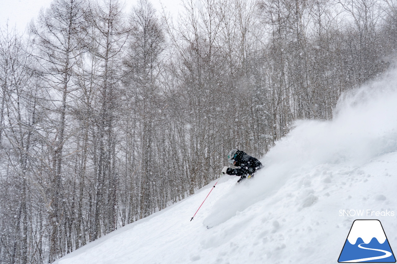 さっぽろばんけい ban.K｜祝・大雪到来！心優しきプロスキーヤー・井山敬介さんが、今シーズンNo.1の『BANKEI POWDER』を滑ります(^^)/